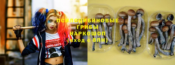 Альфа ПВП Богданович