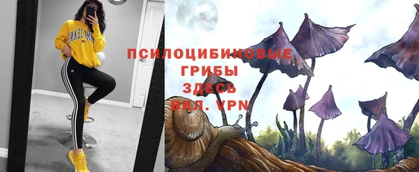альфа пвп Богородицк